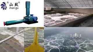 Roots Blowers for Fish Farm, Shrimp Farm, Aquaculture