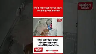 इंदौर में कुत्तों का बढ़ता खौफ, एक साल में 48,972 लोग घायल JANODAY NEWS