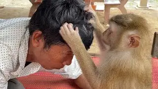 Zueii Grooming Grandpa Hair, You Wont Believed The Dead Cell Was Remov Eating