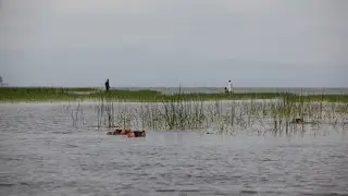 Awassa Lake in Ethiopia