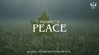 Perfect Peace - Soaking Worship Instrumental | Prayer and Devotional
