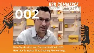 Data Syndication and Standardization in B2B: Don't Chase Red Herrings | B2B Commerce UnCut #002