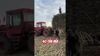 BELARUS 1770 K&eacute;o Rơ Mo&oacute;c 2 Cầu K&eacute;o 40 Tấn M&iacute;a [ ISEKI BINH PHUOC ]