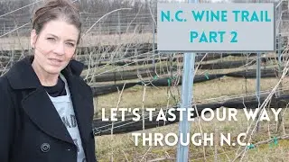 North Carolina Wine Trail Vlog 2 | NC Vineyard Tour | Things Tina Does