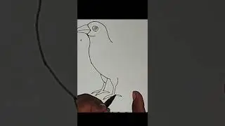 Crow Drawing Easy Step By Step | How To Draw A Crow From #art #pavanrajbhar2086 #draw