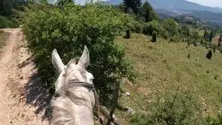 A great ride, Arabian stallion, natural horsemanship pt. 2