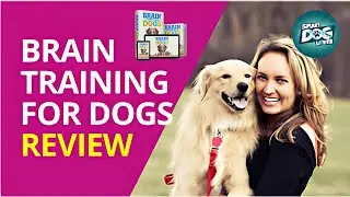 Brain Training for Dogs Review | Dog Behavior Transformation? | Before You Buy, Watch This!