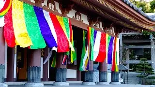 Tour of Hasedera Temple, Kamakura