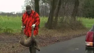 Die Nordreportage - Wildunfall! (04.01.2016)