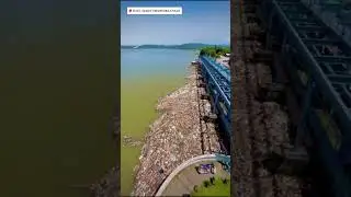 Talwara 52 gate #himachalwheather #floodalert #punjab #pongdam #pushpa2 #nature