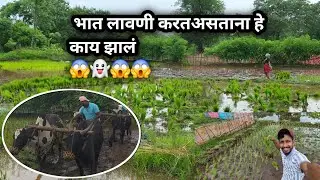 मुंबई वरून आलो ||भातलावणीला 🌾🌾पहिलाच|| दिवस 😍#viral #trending #viral #explore #hareshramane #शेतकरी