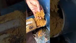 Sugarcane process video. Food safety awareness.Food safety.