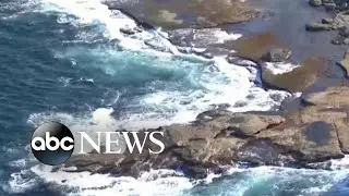 Sydney&rsquo;s 1st fatal shark attack in decades