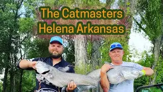 The Catmasters (Helena)