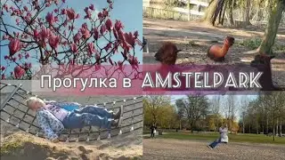 Амстелпарк (Amstelpark).Весна с Нидерландах. Детская площадка по Голландски. Живой уголок в парке.