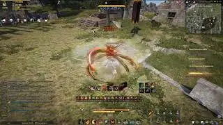 Баг со звуком скилов в BDO