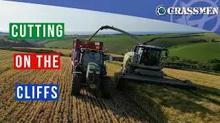 Whole lot of Wholecrop