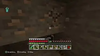 Minecraft 1.14 Survival Stream | Player2