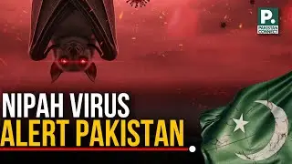 Nipah Virus Alert Pakistan | Islamabad | Minahil Fatima | Pakistan Connect