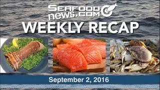Seafood News Weekly Recap September 2,2016