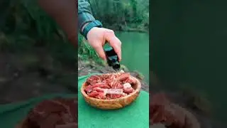 #shortcamping #camping #food #eat #outdoorcooking #cooking #compilation #camp