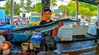 GAINT GARFISH CUTTING !! FRESH FISH CUTTING SKILL
