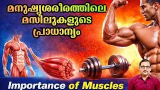 മനുഷ്യശരീരത്തിലെ മസിലുകളുടെ പ്രാധാന്യം | Importance of Muscles in Human Body | Dr.Satish Bhat 