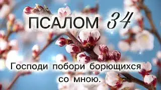 28 декабря 2025 г.