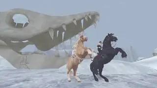 North Swedish Horse / Konie p&oacute;łnocno szweckie