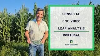 CONSULAI CORN CNC | Leaf Analysis | Portugal
