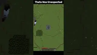 Minecraft Moments 😅😅 #minecraft #shorts #punk