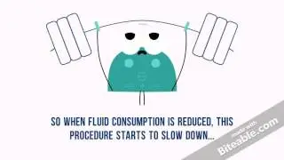 Water, Dehydration, & Anxiety