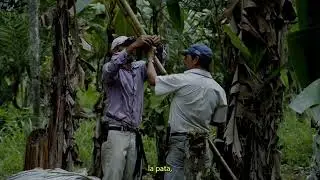 Tutorial: &iquest;C&oacute;mo 