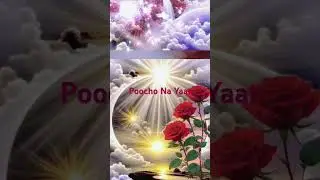 #poochon