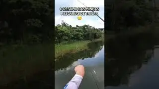 Pescaria de tra&iacute;ra 90% &eacute; isso, os outros 10% ela leva a isca embora 🤣