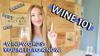 WINE 101 // 15 WINE WORDS you NEED to know!