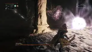 Gemless FRC Amygdala
