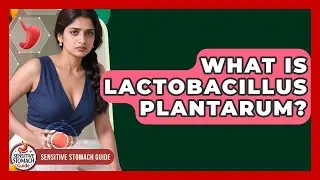What Is Lactobacillus Plantarum? - Sensitive Stomach Guide