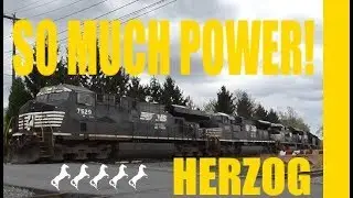 Herzog balast train rocks the NS Sunbury line!