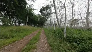 Morning bike ride in the countryside