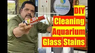 How to CLEAN Aquarium Glass Stains | Remove Hard water salt stains Mayur Dev Tips Aquarium Cleaning