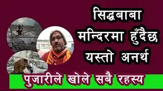 सिद्धबाबा मन्दिरमा बिभत्स रुपमा परेवा खाँदै बादर ||  Siddha Baba Temple || के हुँदैछ यस्तो अनर्थ ||
