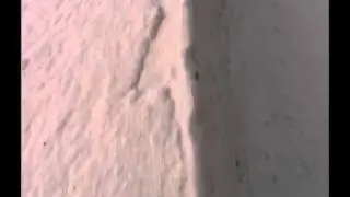giant sand 