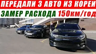 Передали 3 авто из Кореи! Замер расхода. Отзывы AdvisorAuto. Avante Lpi, 2 KIA K5 2015/16