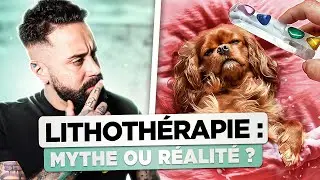 La lithoth&eacute;rapie a t-elle VRAIMENT des bienfaits pour les chiens ?