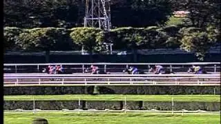 Uncle Mo - 2010 Champagne (G1)