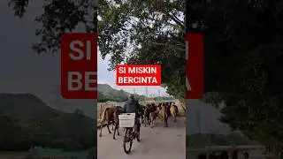 si miskin beecinta #shorts #feedshorts #trending