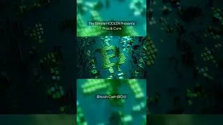 Crypto ProsNCons (BCH) #crypto #cryptocurrency #bch  #bitcoincash  #fork