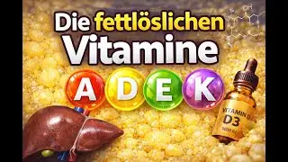 DIe fettl&ouml;slischen Vitamine A,D,E,K