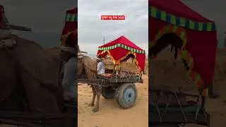 pushkar, pushkar raj, pushkar sword market, pushkar city, pushkar mela, pushkar food, pushkar